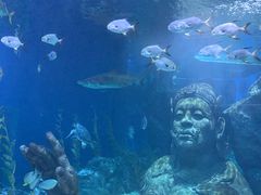 -暹罗海洋世界