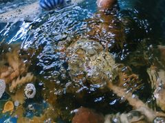 -老班长大酒店(海关大楼店)