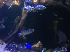 -华夏文旅海洋公园