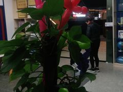 -科睿机器人·编程·创客·人工智能(龙岗书城中心)