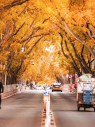 -Oasis Beauty水磨坊科技美肤中心