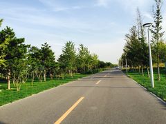 picture-北京园博大酒店