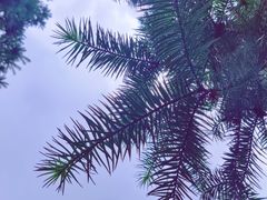 -九龙潭景区