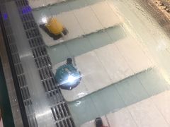 -西檬树SIMON·T轻奢蛋糕(大东方Max店)