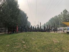 -爪吧宠物乐园·宠物泳池(温榆河示范区店)
