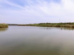 -西青郊野公园