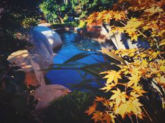 -七彩云南古滇温泉山庄