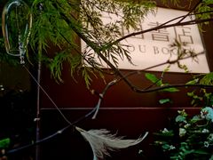 -二酉书店TOYOU BOOKS