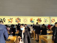 -Apple零售店(华贸购物中心店)