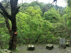 -南山植物园