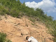 -红山国家森林公园