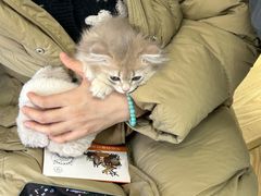 -中农大我爱我爱动物医院·核磁CT·猫病·24小时夜诊中心(石佛营店)