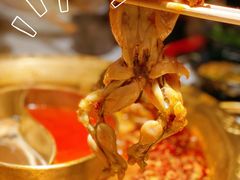-捞三国美蛙鲜鱼火锅(茂业店)