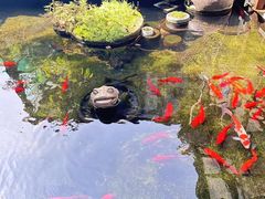 -野蔓果·山野菜(西湖景区·龙井茶田店)