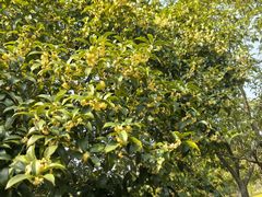 -白塘生态植物园