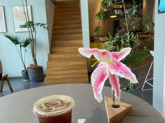 -dotcom coffee古点咖啡(致真大厦店)