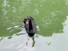 -济南野生动物世界