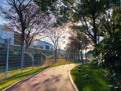 -上海山野camping·户外天幕烧烤·团建拓展营地