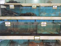 水产区-秋姐美食店(旅游大道店)