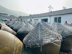 -苏州市吴中区光福窑上花果蜜饯厂