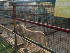 -南宫五洲植物乐园