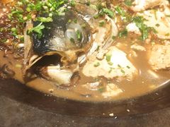 得莫利炖鱼-金掌勺·锅包肉(广渠门店)
