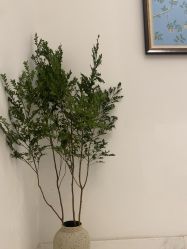 -尊尚柏丽美容SPA