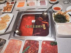 -海底捞火锅(吾悦广场店)
