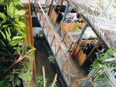 -Rainforest