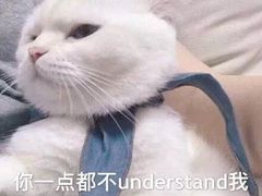 -PAWTOY爪e玩偶店(天兴罗斯福店)