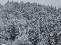 -龙苍沟森林公园