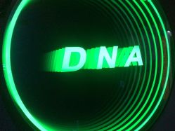 -DNA舞室