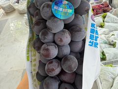 -马陆小张葡萄园农家乐