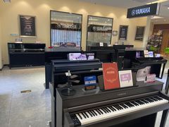 -知音艺术教育培训·钢琴培训·音乐培训(河西金鹰世界校区)