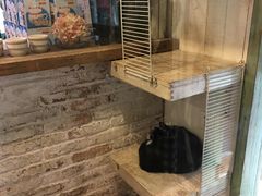 -猫咪博物馆(顶澳仔猫街店)