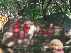 -京东石林峡风景区