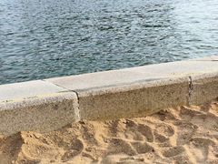 -金沙湖公园