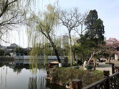 -水绘园