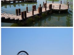 -太湖湖滨国家湿地公园-停车场