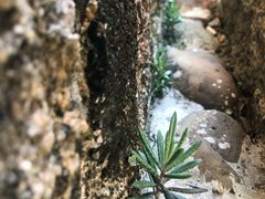 -深圳富茂格伦菲尔口腔门诊部(龙华清湖总院)