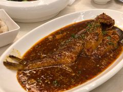 酒釀燒黃花魚-银都上海菜馆(粤海东路店)