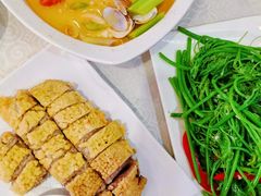 佛手瓜苗-粤北餐馆