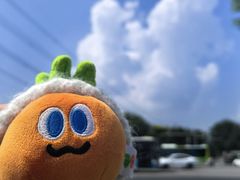 -鱼你在一起(通州华联购物中心店)