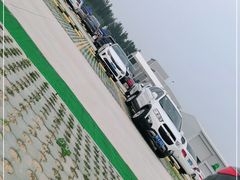 -白洋淀景区