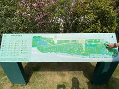 -顾村公园