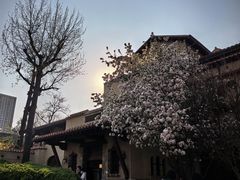 -静园(和平区)