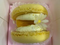 半熟花花马卡龙-好利来(熙地港店)