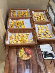 -碧莲盛·不剃发植发