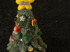 -泰州之星奔驰4S店(海陵店)