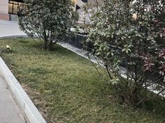 -陕西科技大学福慧图书馆